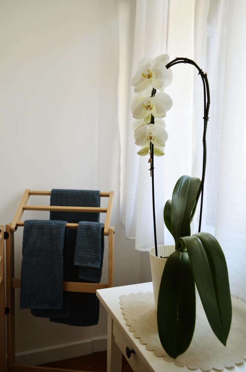 Punto8 Bed & Breakfast ตรีเอสเต ภายนอก รูปภาพ